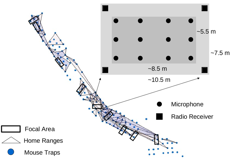 focal areas